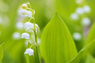 科幻FPS游戏《INDUSTRIA 2》官宣登陆PC平台